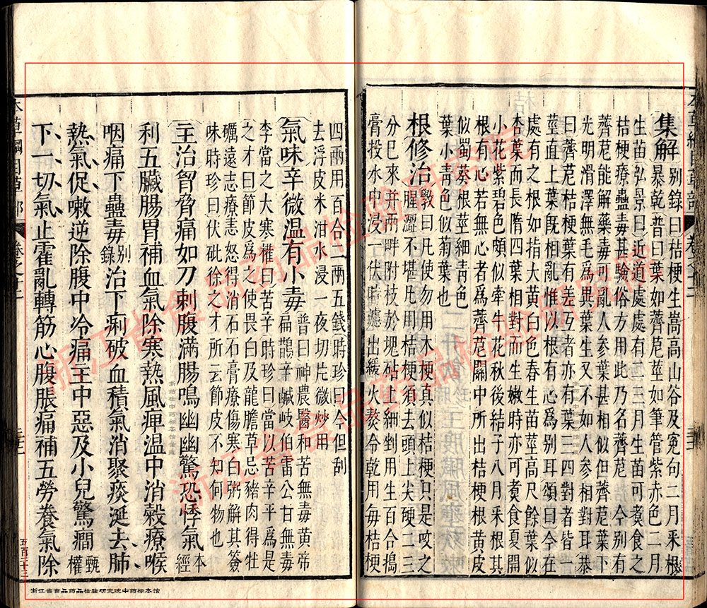 桔梗 明 《本草纲目》 资料图