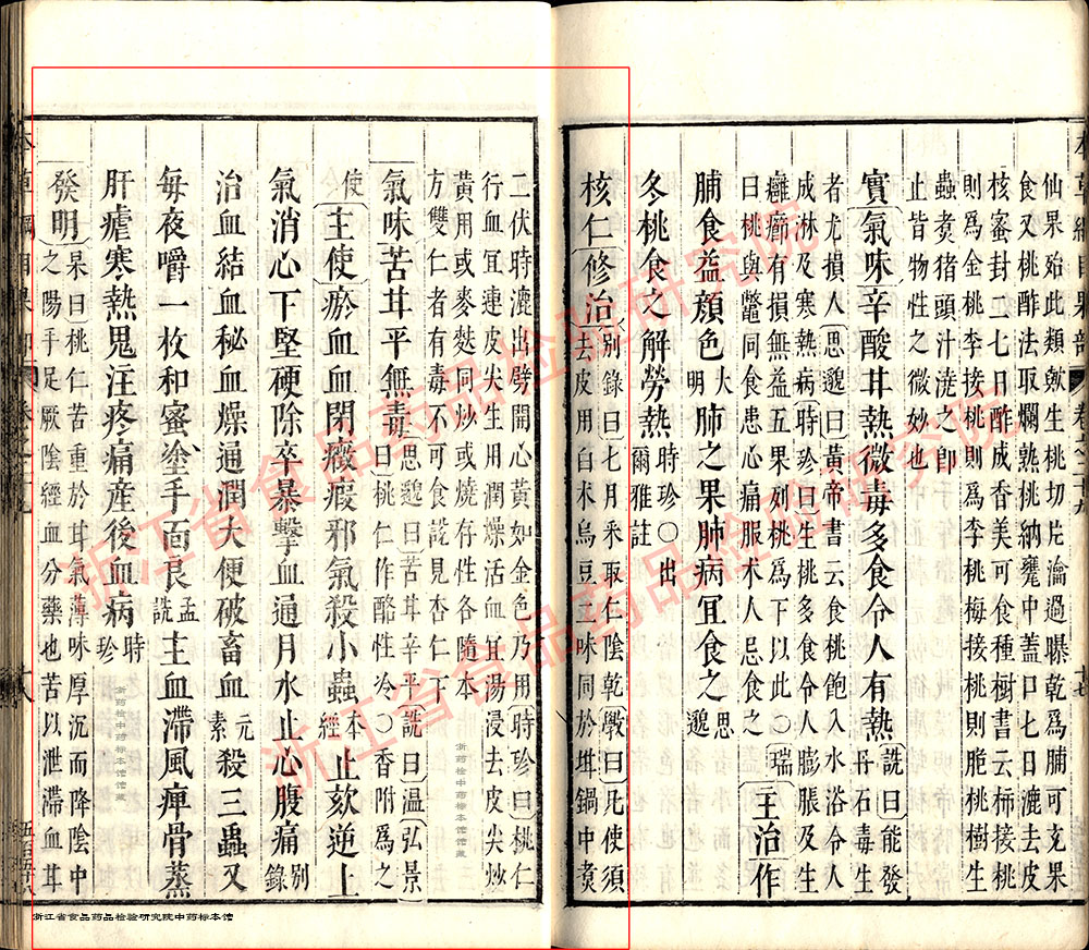 桃仁 明 《本草纲目》 资料图