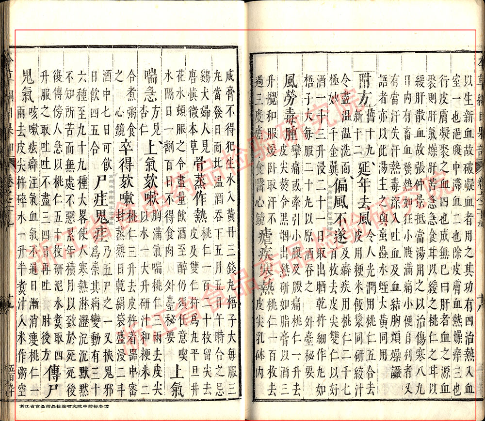 桃仁 明 《本草纲目》 资料图