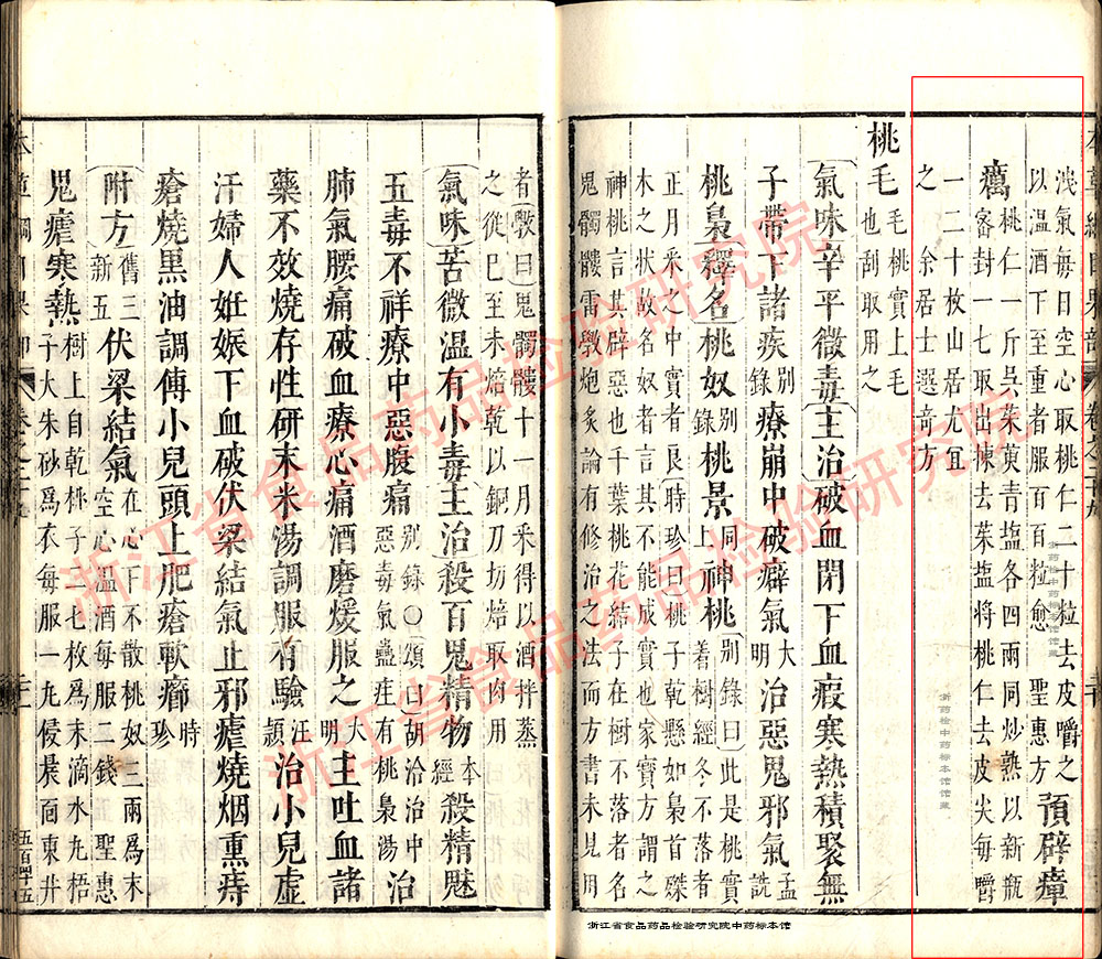 桃仁 明 《本草纲目》 资料图