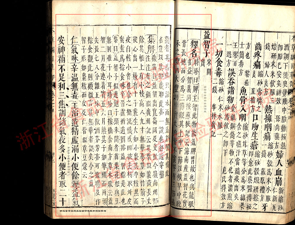 益智 明 《本草纲目》 资料图