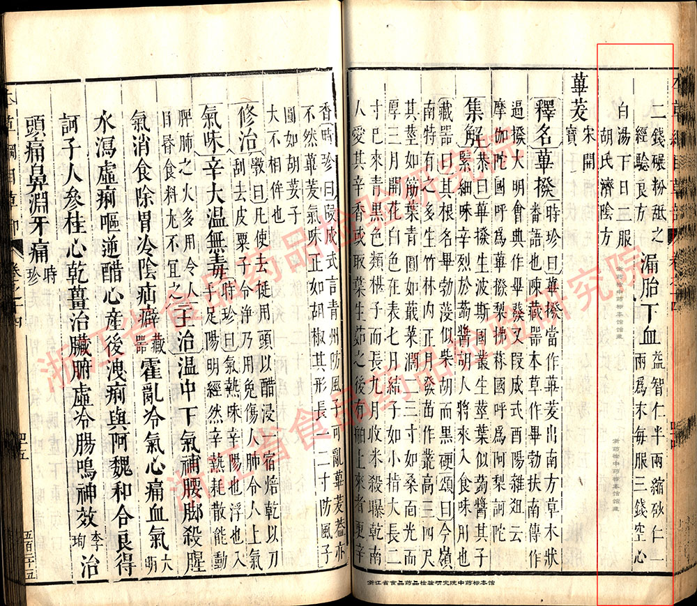 益智 明 《本草纲目》 资料图