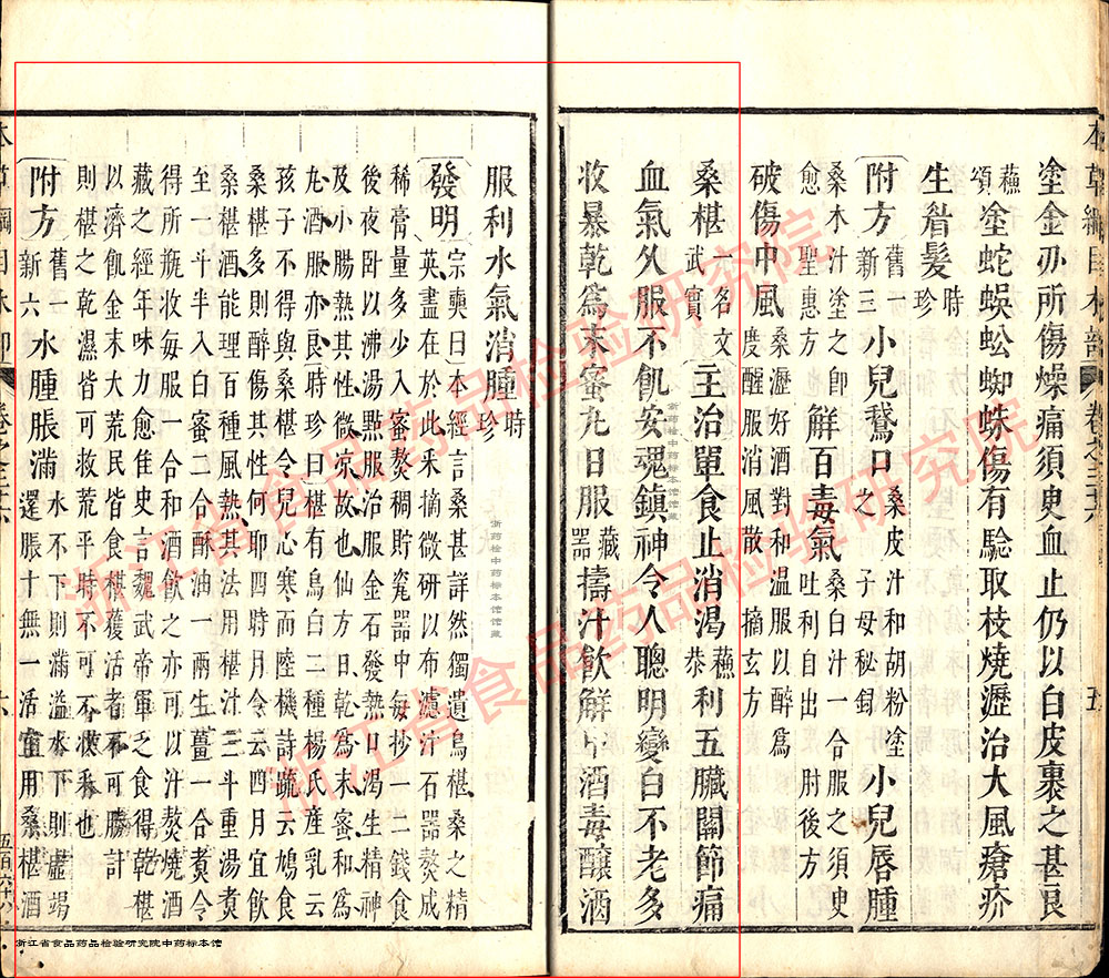 桑椹 明 《本草纲目》 资料图