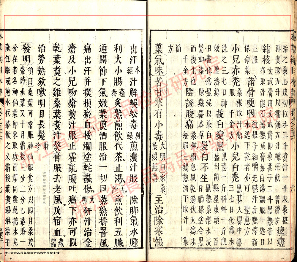 桑椹 明 《本草纲目》 资料图