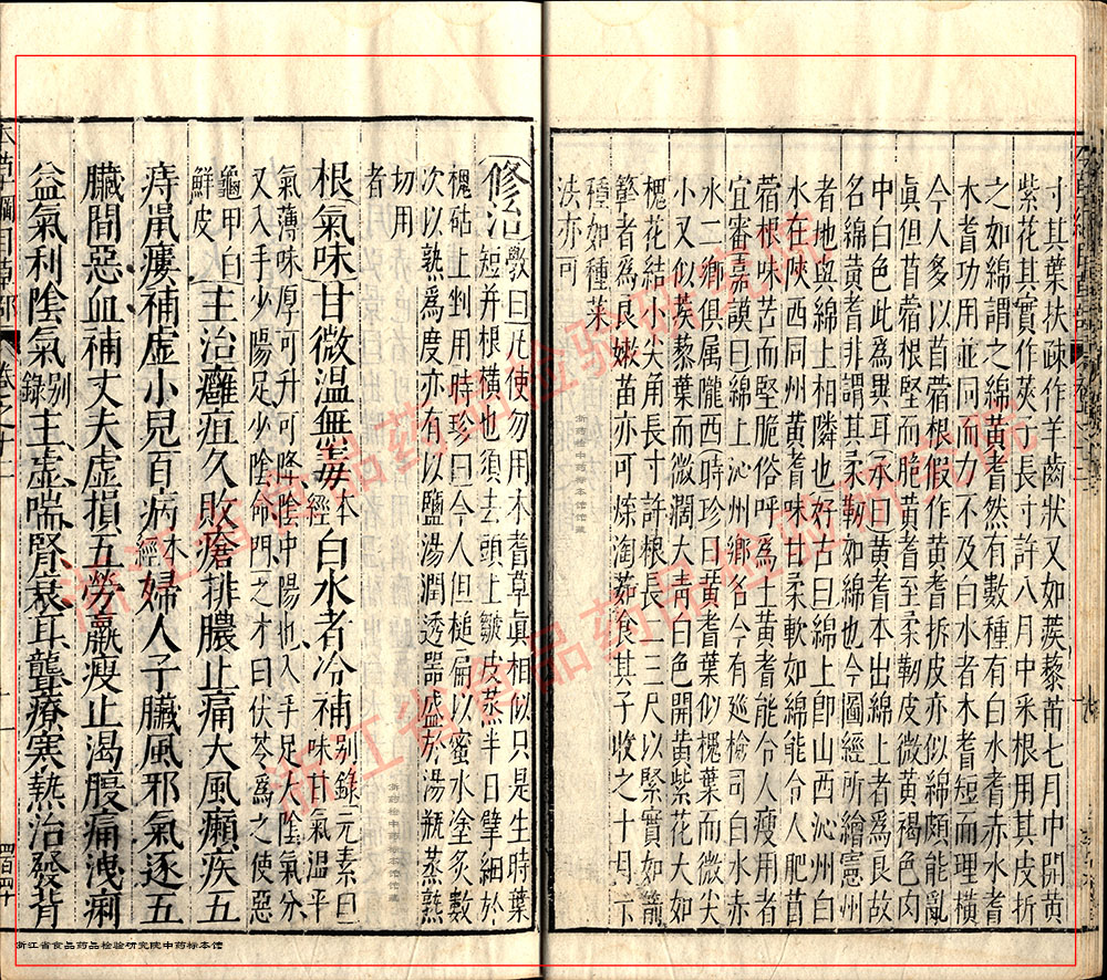 黄芪 明 《本草纲目》 资料图
