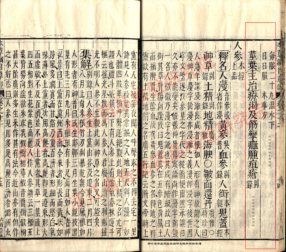黄芪 明 《本草纲目》 资料图