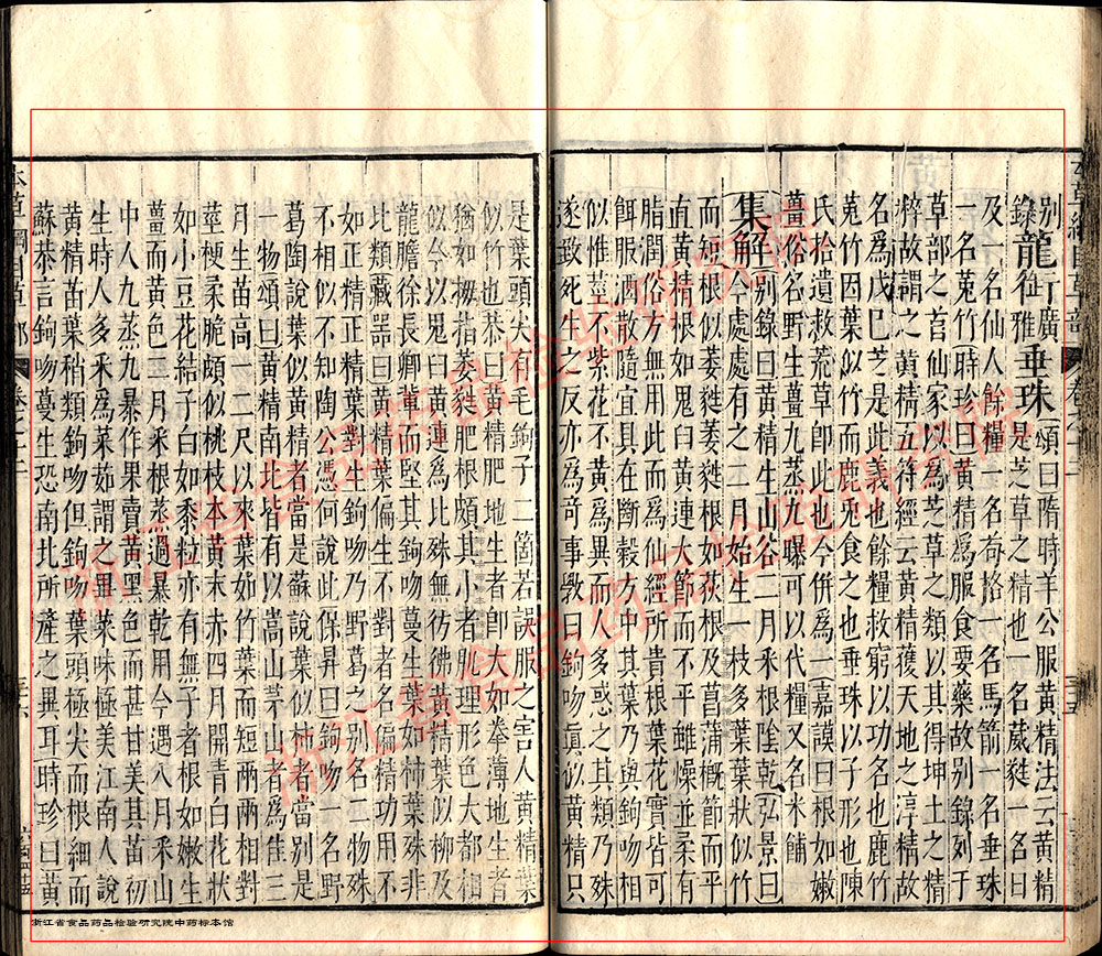 黄精 明 《本草纲目》 资料图