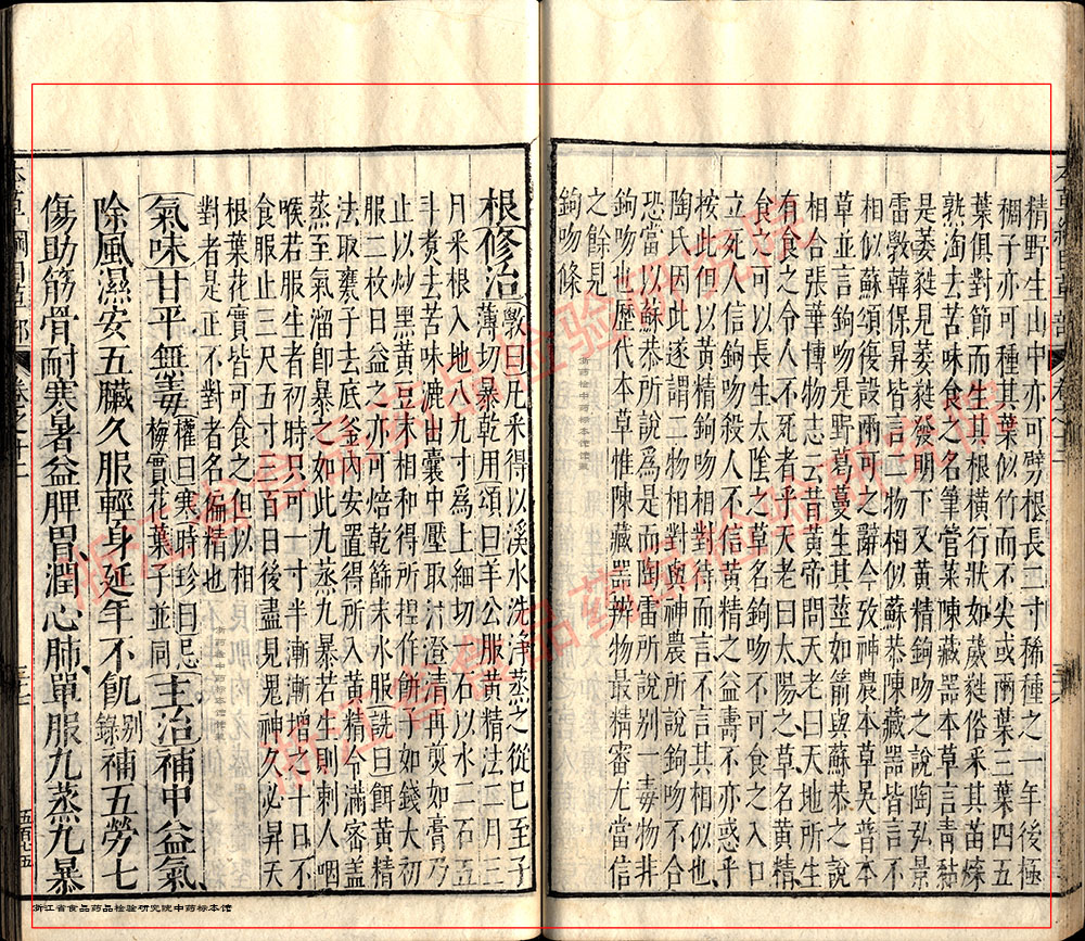 黄精 明 《本草纲目》 资料图
