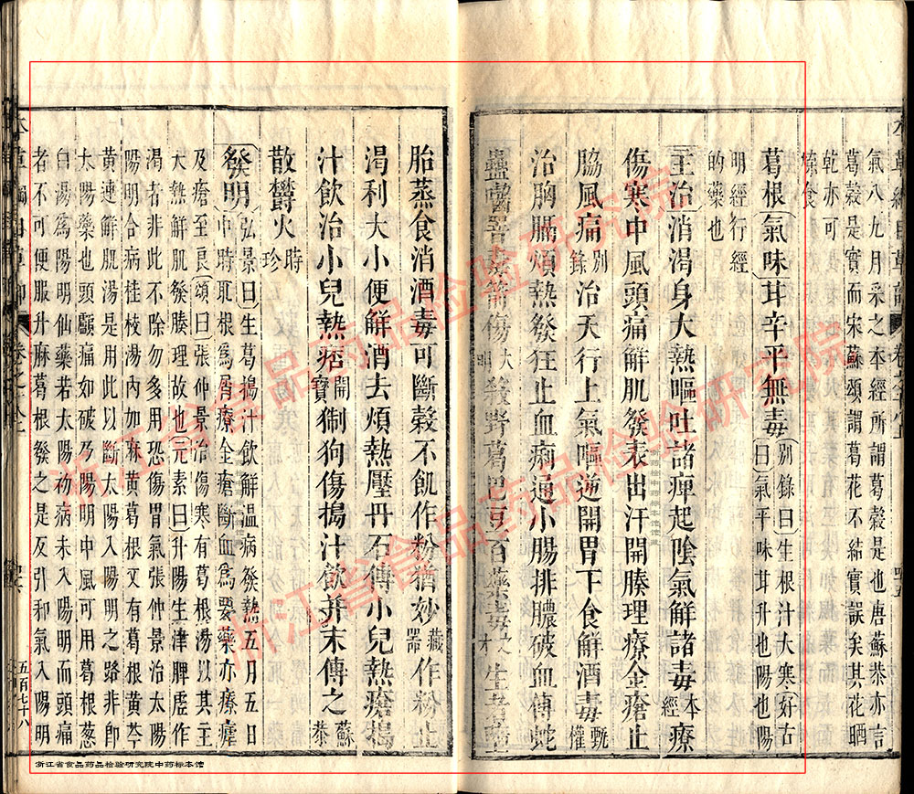 葛根 明 《本草纲目》 资料图