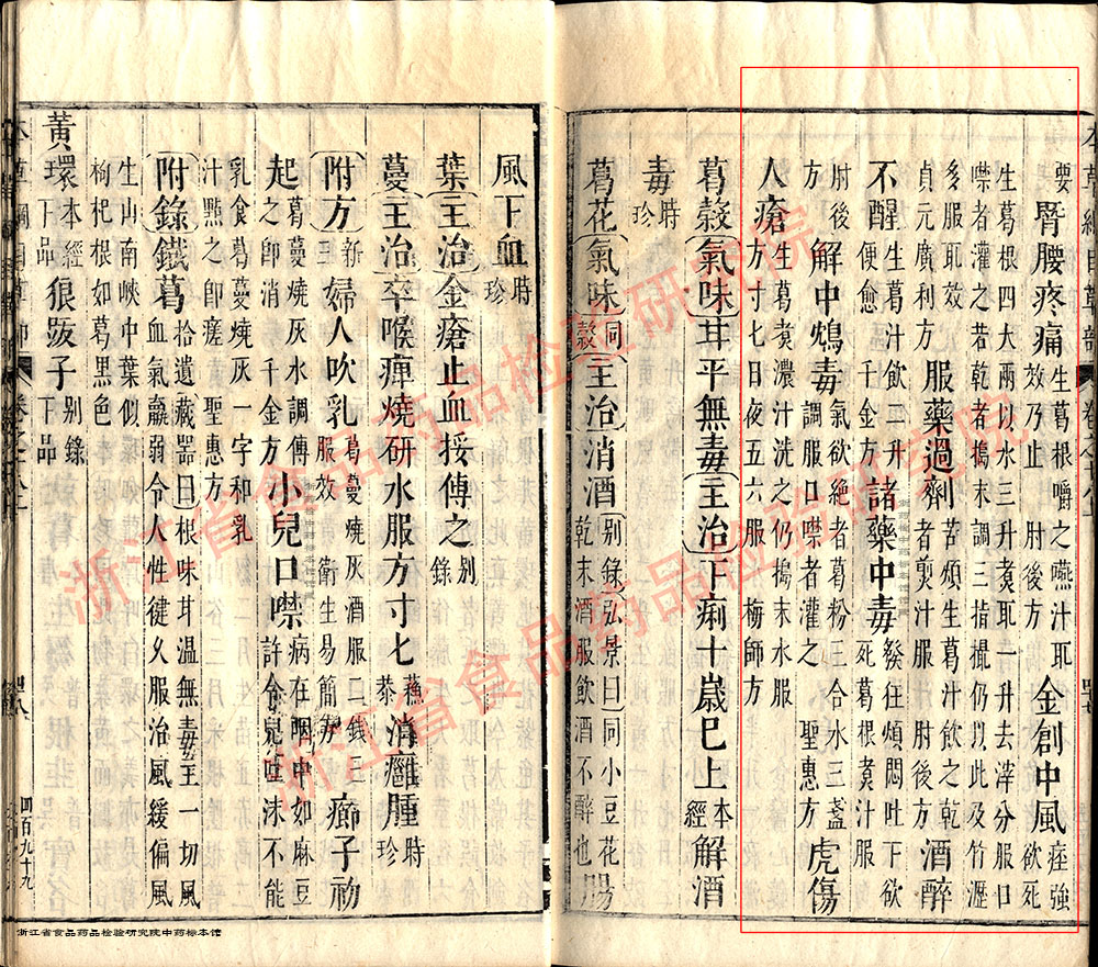 葛根 明 《本草纲目》 资料图