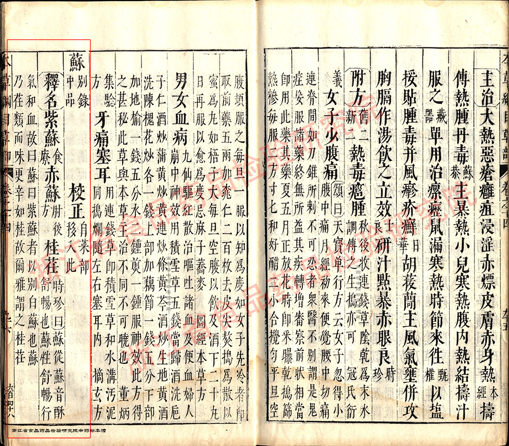 紫苏叶 明-《本草纲目》 资料图