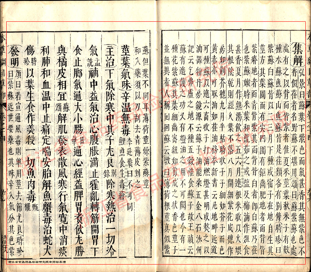紫苏叶 明-《本草纲目》 资料图
