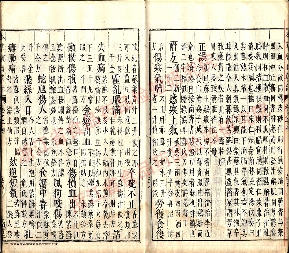 紫苏叶 明-《本草纲目》 资料图