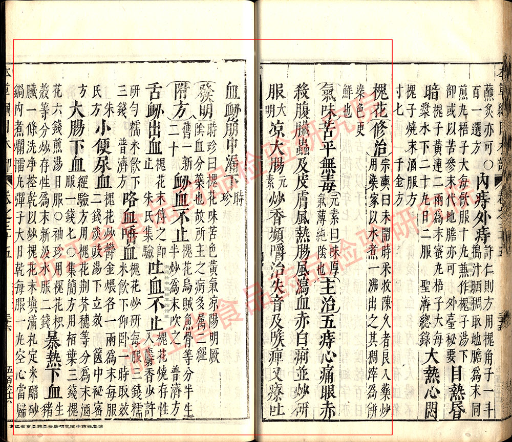 槐花 明-《本草纲目》 资料图