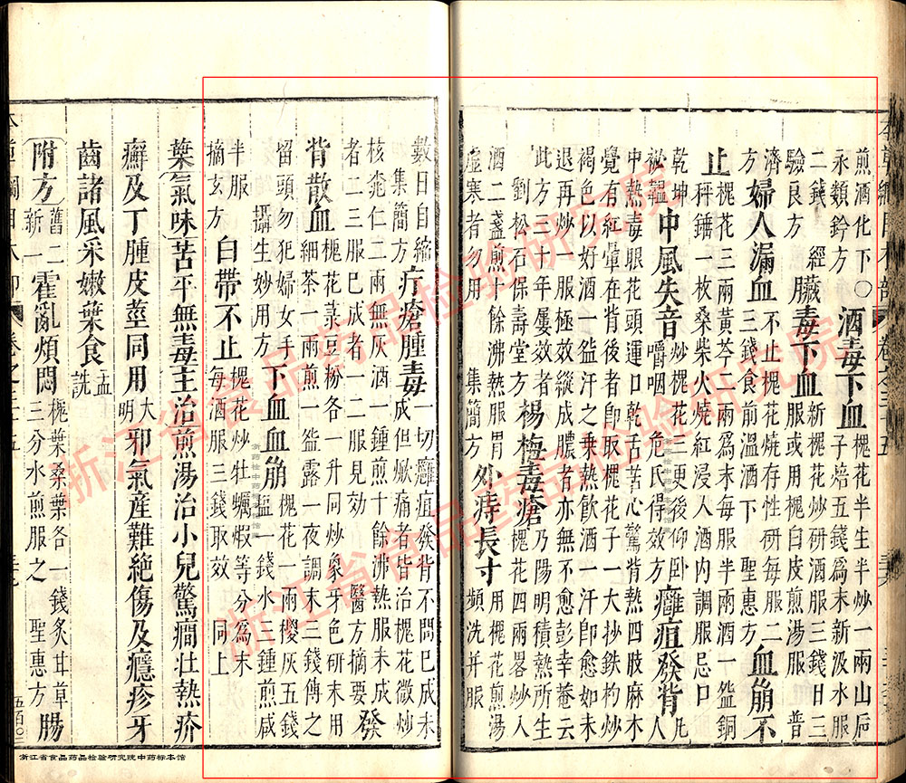 槐花 明-《本草纲目》 资料图
