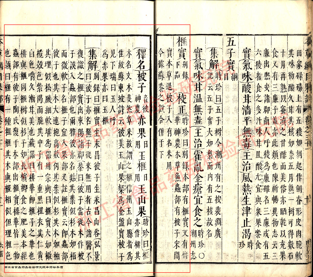 榧子 明-《本草纲目》 资料图