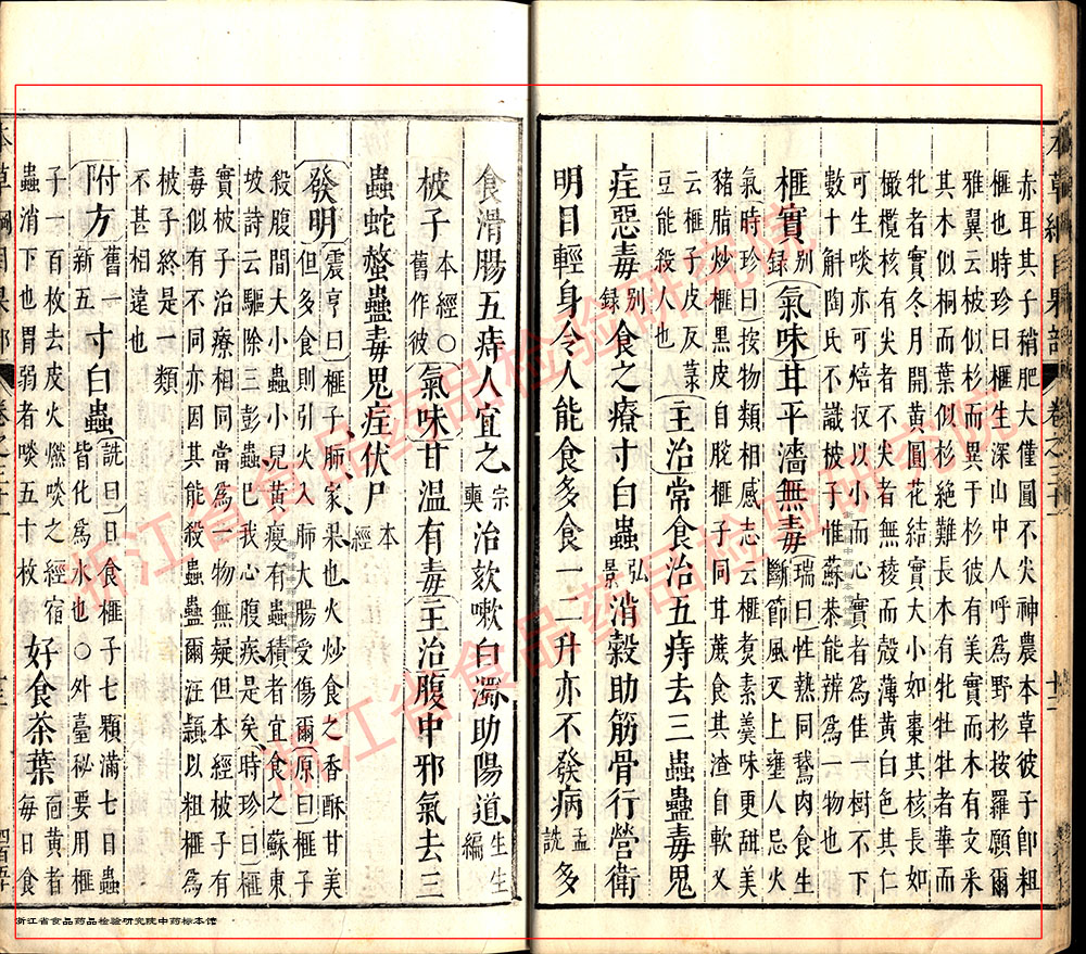 榧子 明-《本草纲目》 资料图