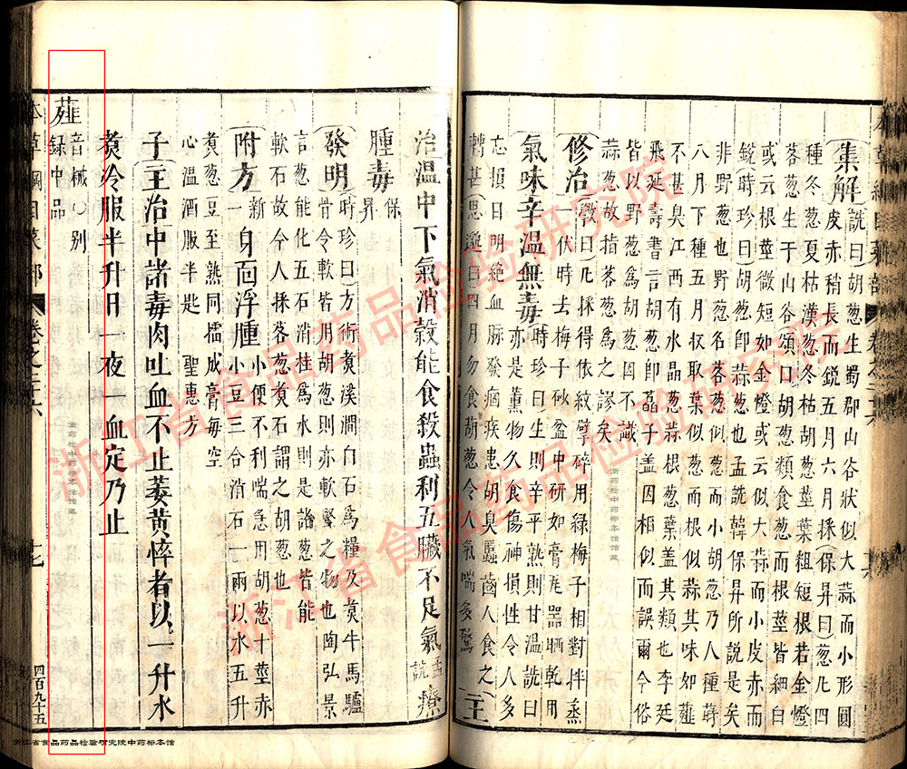 薤白 明-《本草纲目》 资料图