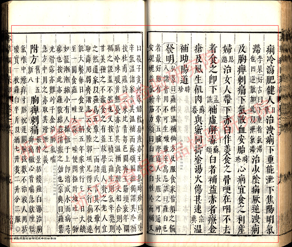 薤白 明-《本草纲目》 资料图