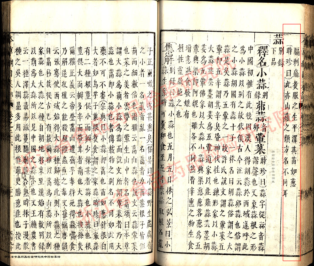薤白 明-《本草纲目》 资料图