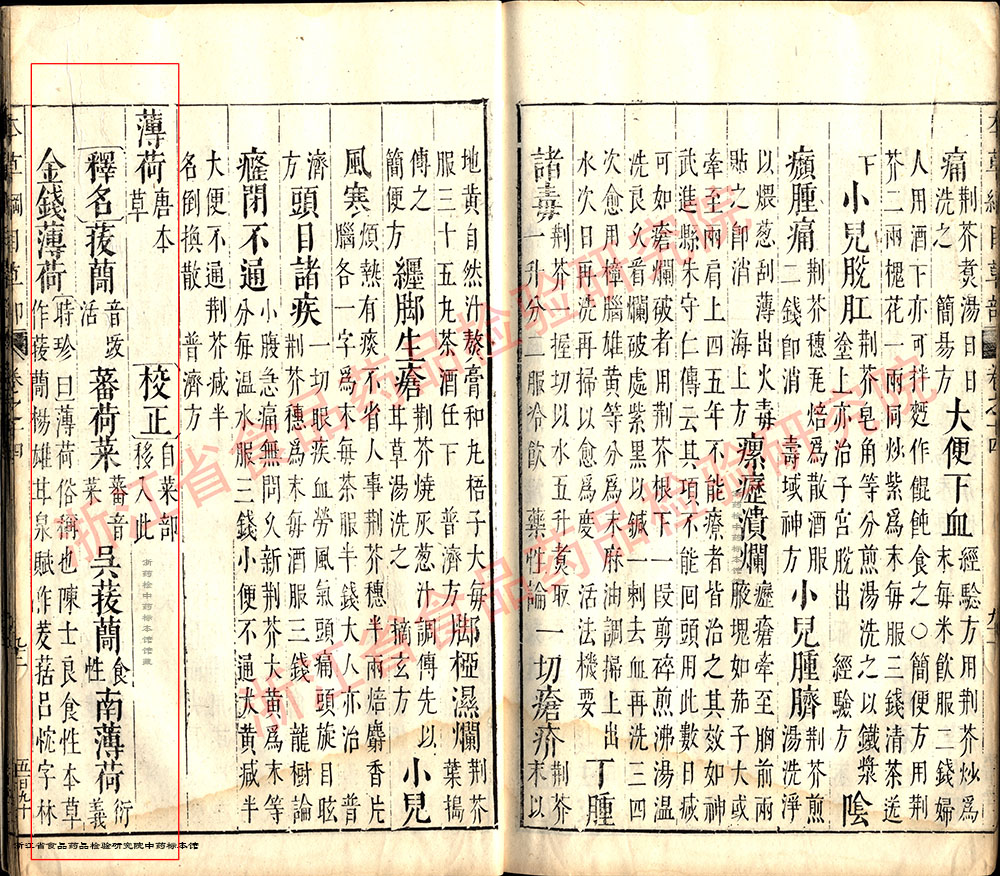 薄荷 明-《本草纲目》 资料图