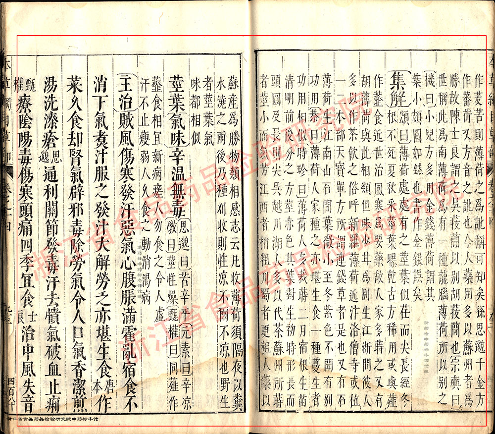 薄荷 明-《本草纲目》 资料图