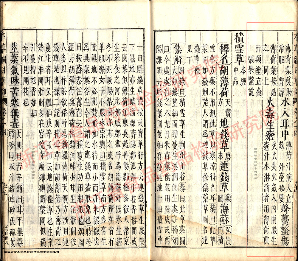 薄荷 明-《本草纲目》 资料图