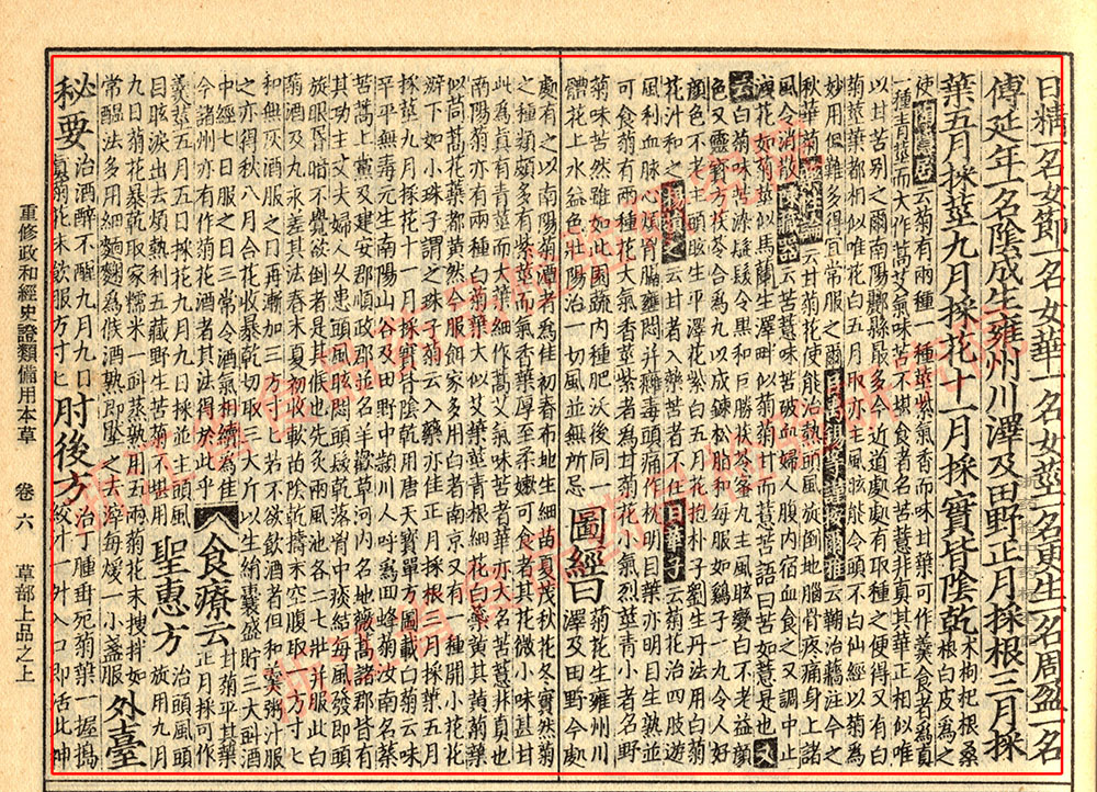 1680500340179011703.jpg 菊花 宋-《证类本草》 资料图