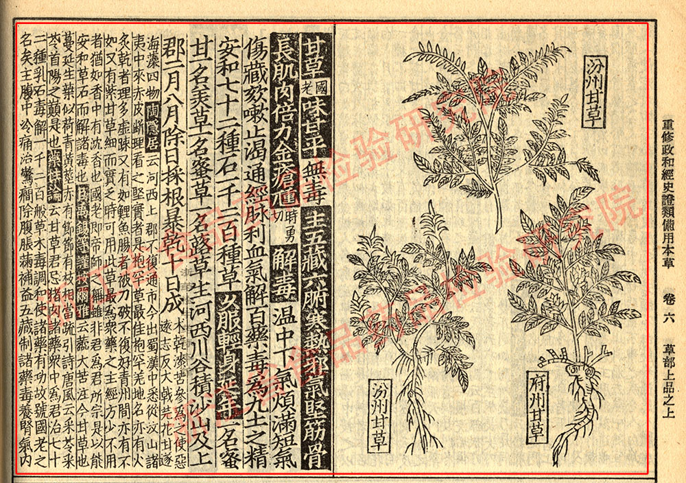 甘草 宋-《证类本草》 资料图