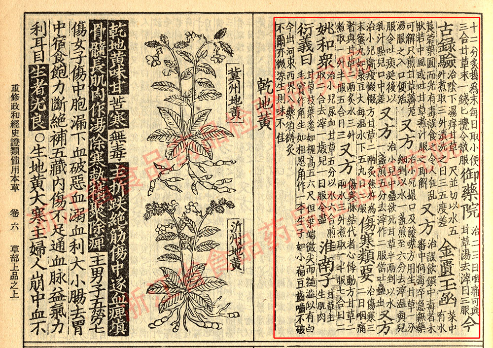 甘草 宋-《证类本草》 资料图