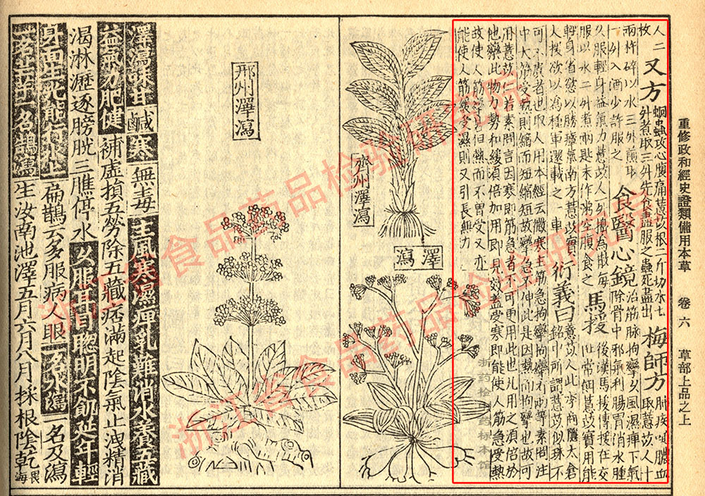 薏苡仁 宋- 《证类本草》 资料图