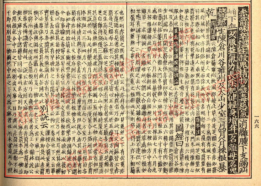 天麻 宋 《证类本草》 资料图