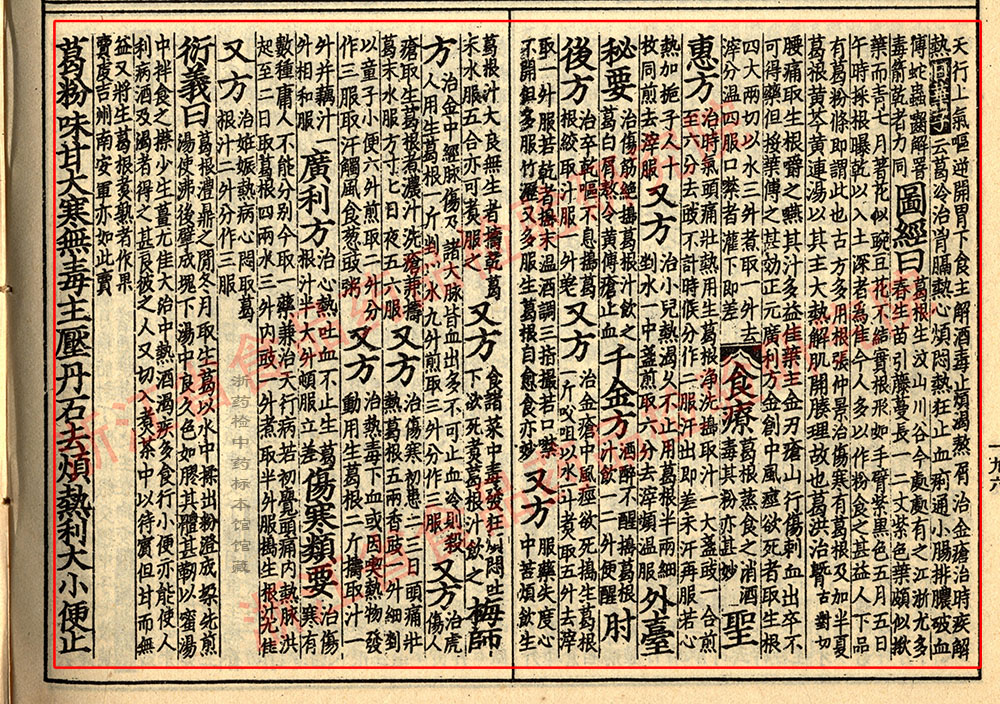 葛根 宋 《证类本草》 资料图