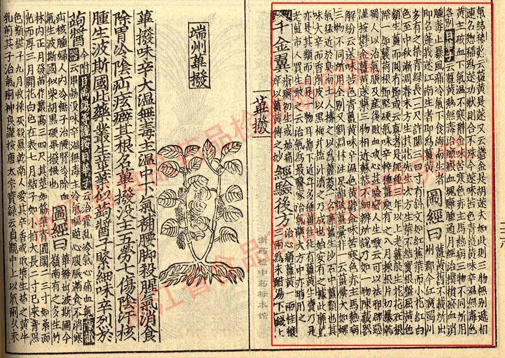 姜黄 宋 《证类本草》 资料图