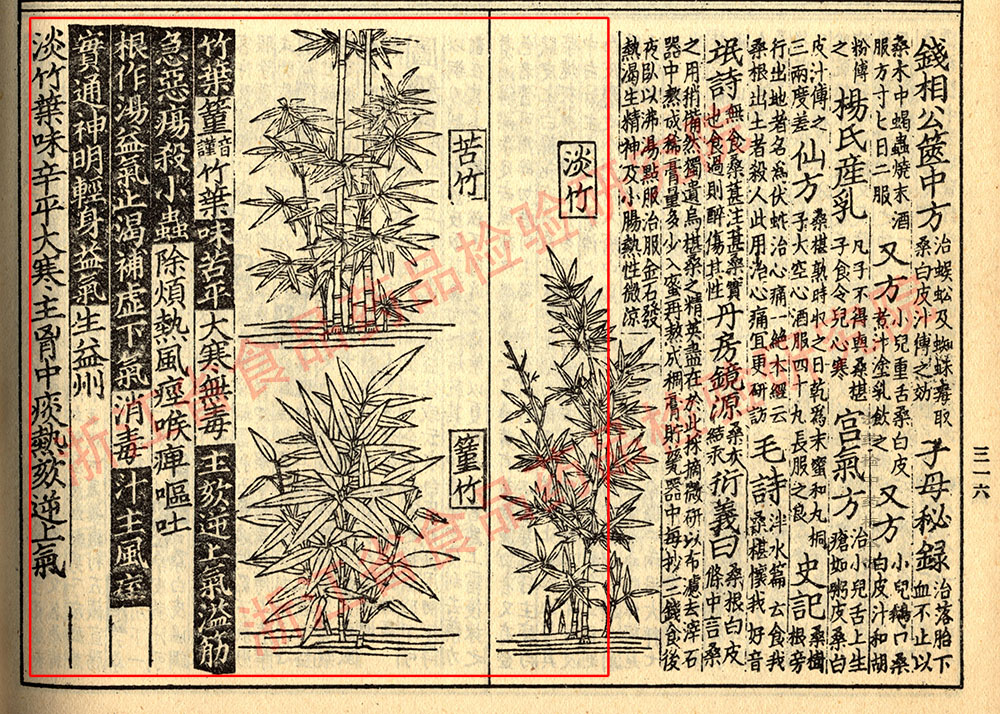 淡竹叶 宋 《证类本草》 资料图