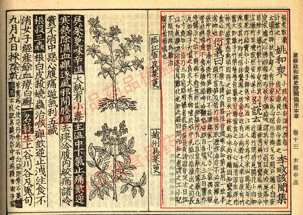 淡竹叶 宋 《证类本草》 资料图