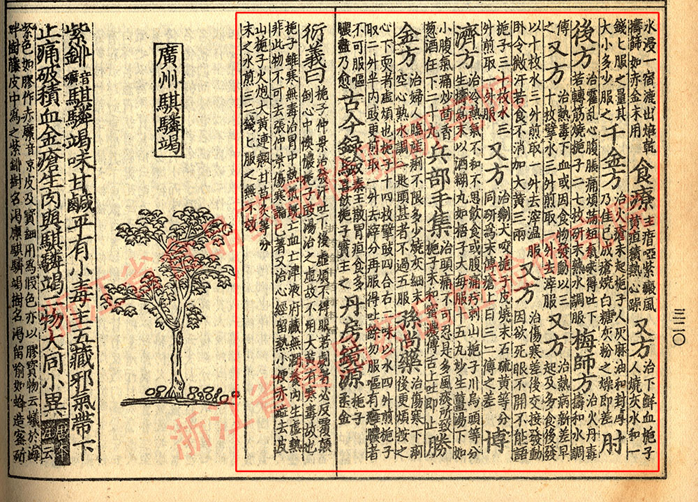 栀子 宋-《证类本草》 资料图