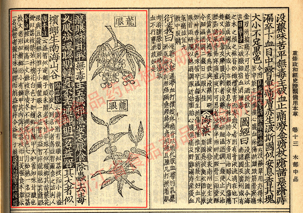 1681095879013074506.jpg 龙眼肉 宋-《证类本草》 资料图