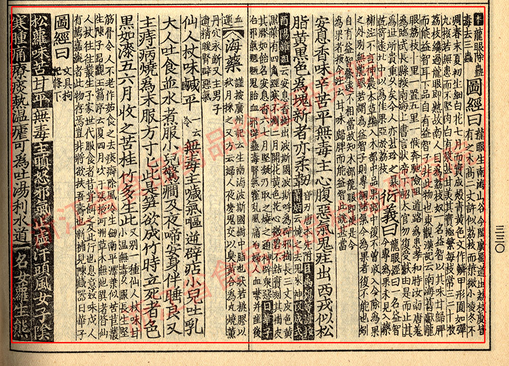 1681095884920027772.jpg 龙眼肉 宋-《证类本草》 资料图