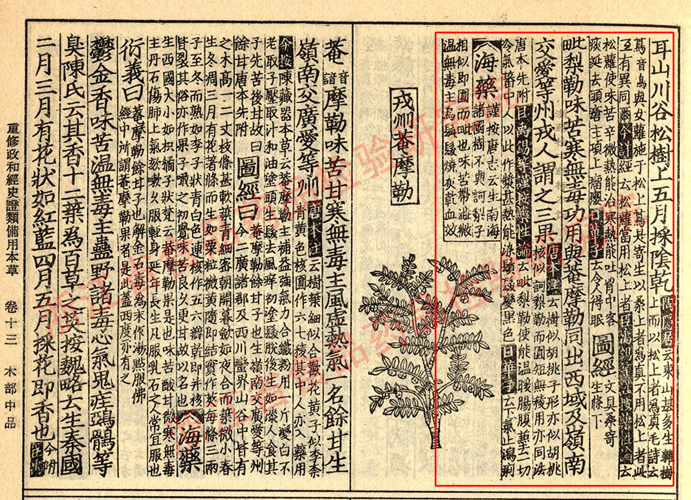 1681095892033056845.jpg 龙眼肉 宋-《证类本草》 资料图