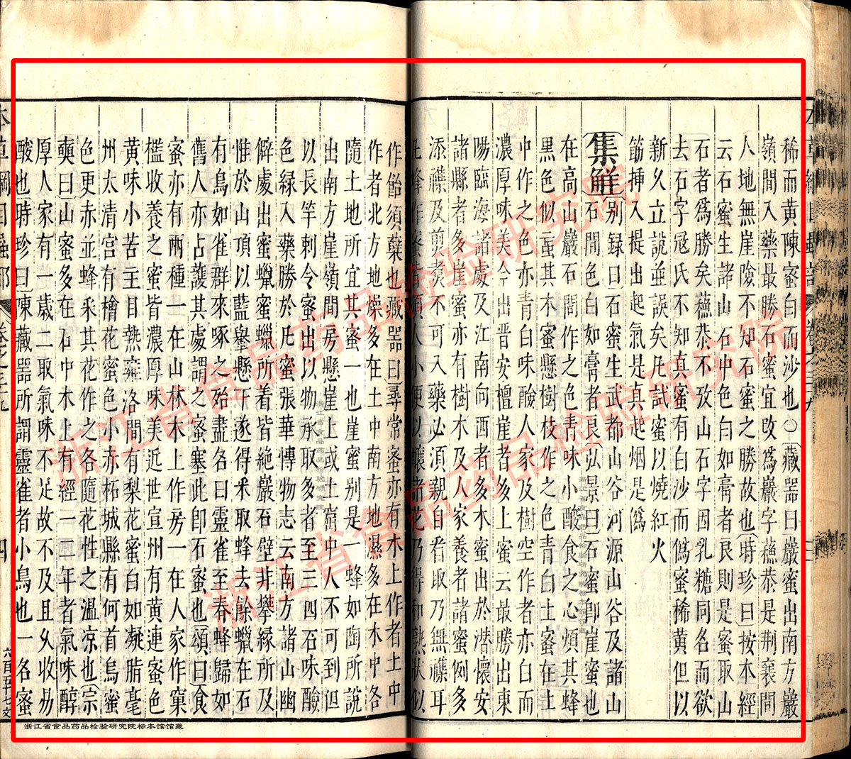 1681198526539035814.jpg 蜂蜜 明-《本草纲目》 资料图