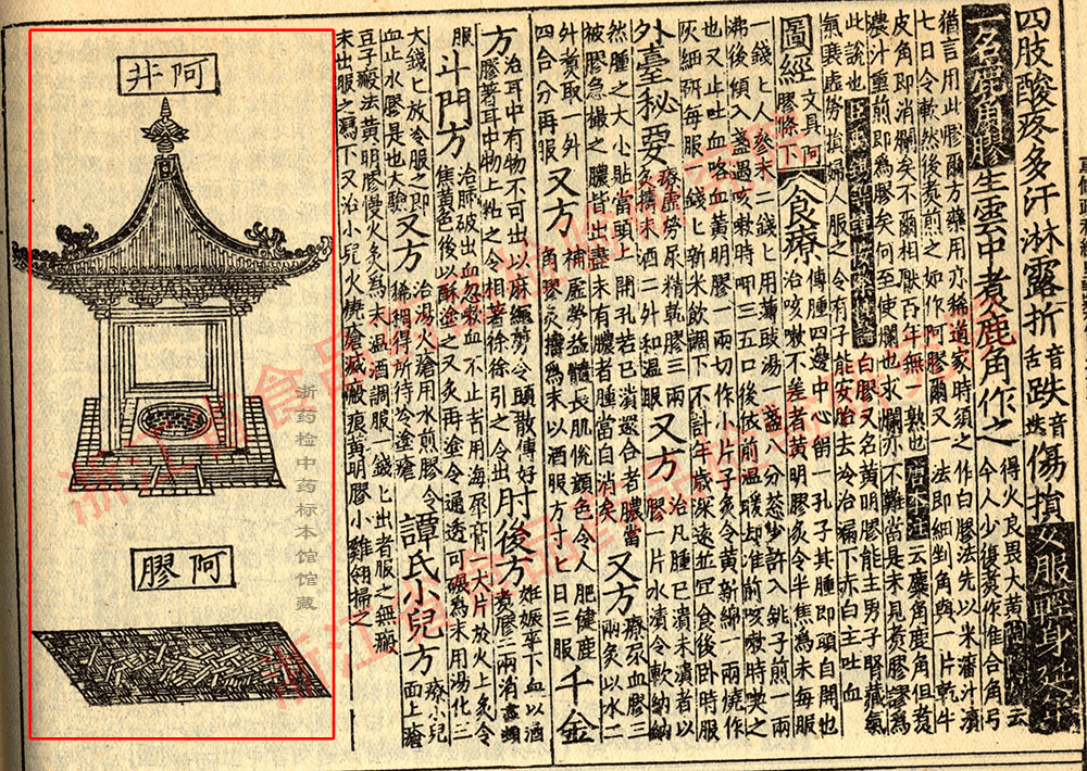 阿胶 宋 《证类本草》 资料图