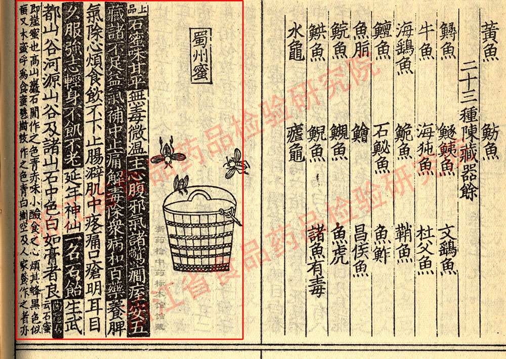 1681267773655027186.jpg 蜂蜜 宋-《证类本草》 资料图