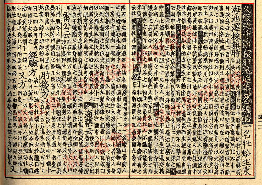 牡蛎 宋 《证类本草》 资料图