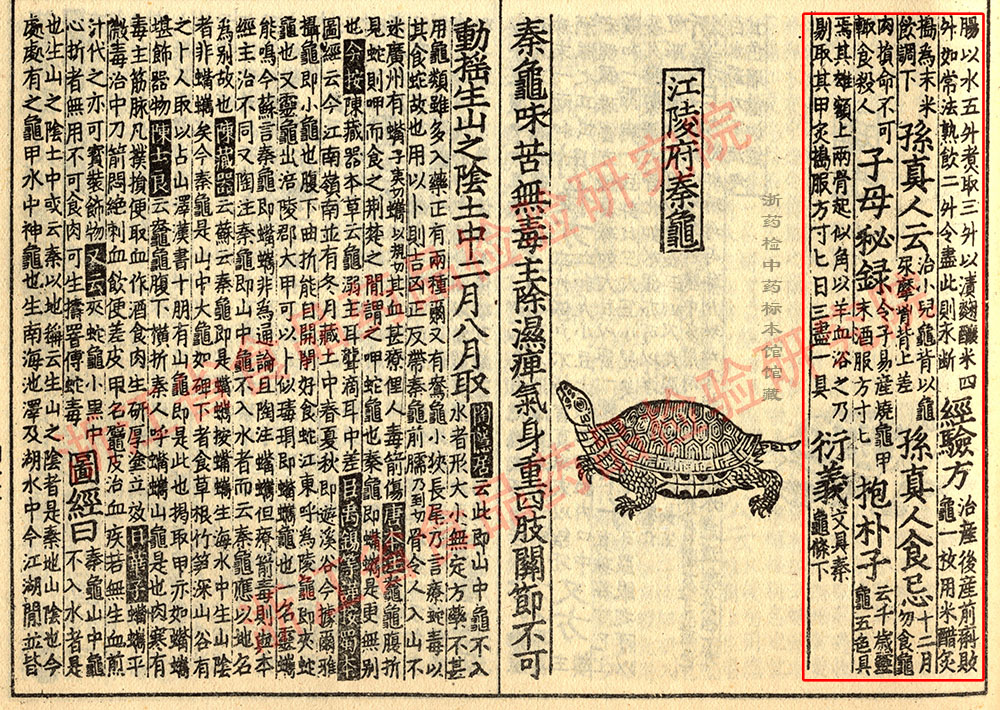 牡蛎 宋 《证类本草》 资料图