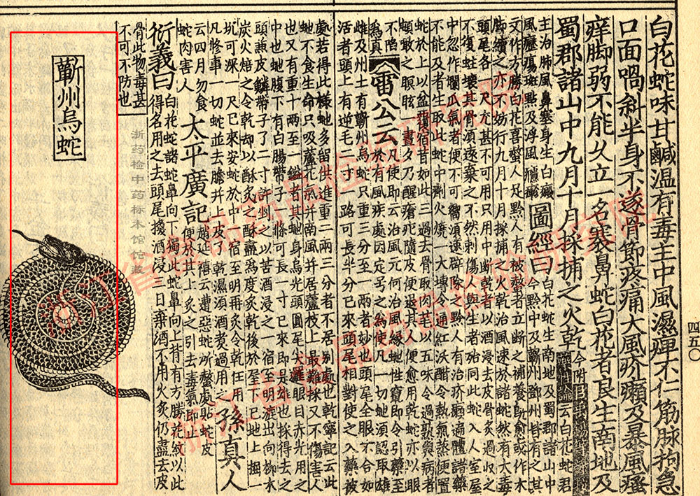 乌梢蛇 宋-《证类本草》 资料图