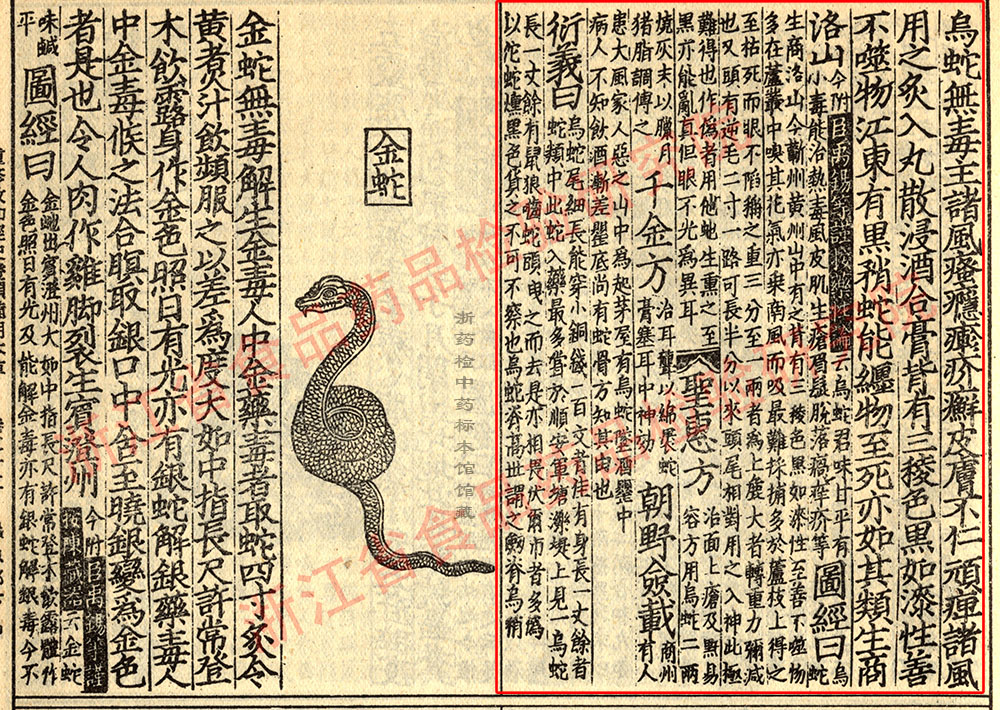乌梢蛇 宋-《证类本草》 资料图