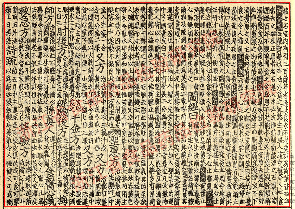 莲子 宋 《证类本草》 资料图