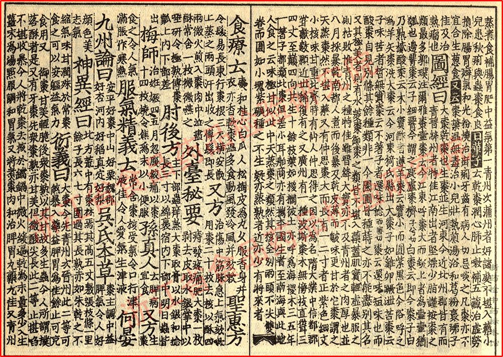 大枣 宋 《证类本草》 资料图