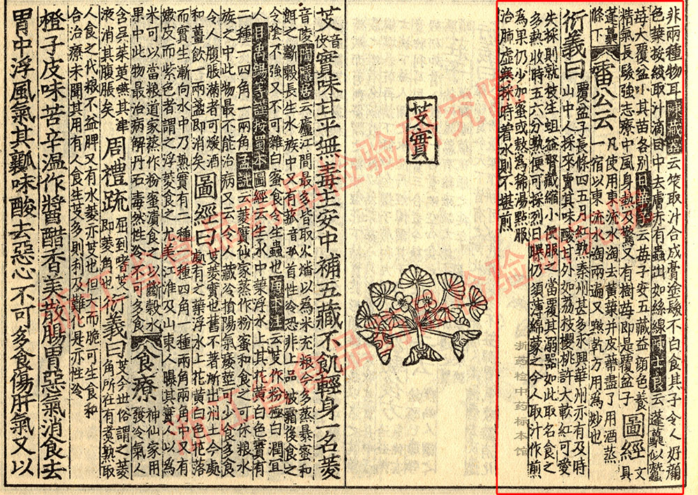 覆盆子 宋-《证类本草》 资料图